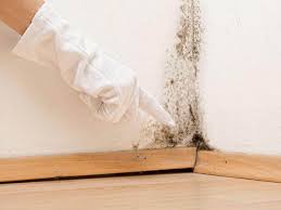 Best Attic Mold Removal  in Wilton Center, CT